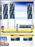 Beach Volleyball Pro Challenge